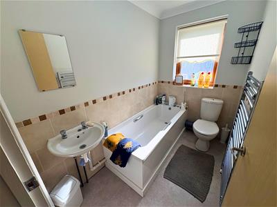 Picture 14